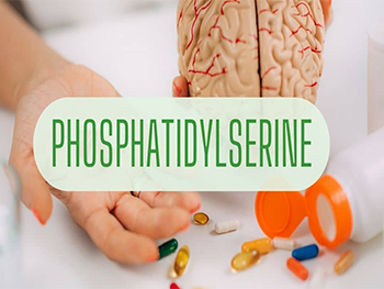 How Does Phosphatidylserine Work?
